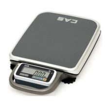 CAS PB - Portable Platform Bench Scale - 60 Kg, 200 Kg